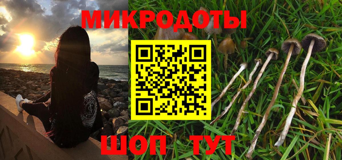 Галлюциногенные грибы прущие грибы Алапаевск